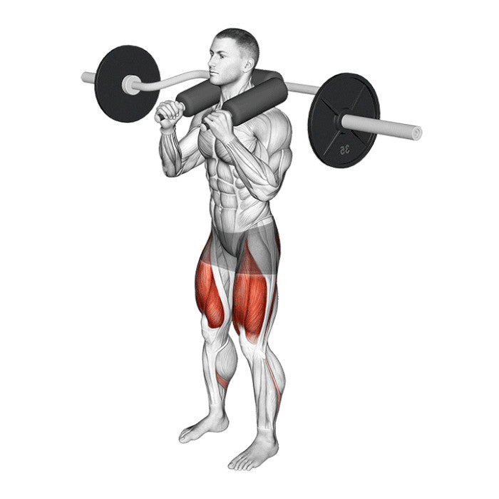 Xtreme Olympische Safety Squat Bar - xtremefitnessstore